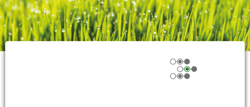 Gloy Oetzmann & Partner GmbH