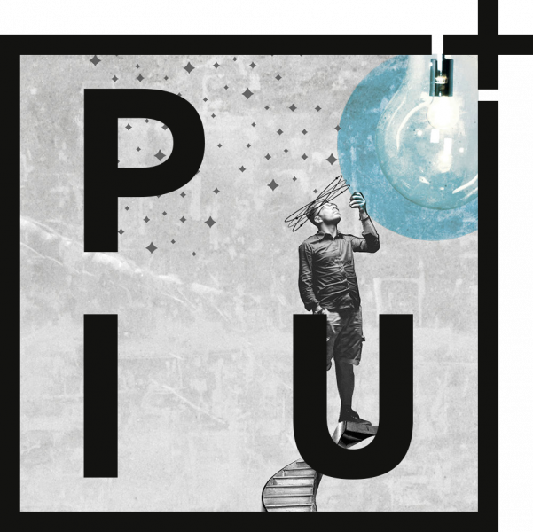 Privates Institut für Unternehmensfinanzierung PIU+